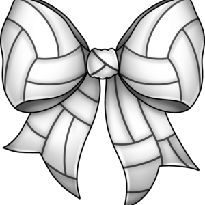 VolleyBallBow
